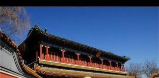 华尔街网报/许小年:习近平的经济政策是画饼充饥,需倒过来做