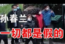 郭宝胜:武汉市民当头棒喝孙春兰:这些都是假的! 愤怒的人民已不再恐惧