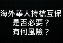 李一平:海外華人持槍互保?沒有必要而且風險太大!