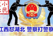 小民之心:江西怼湖北 警察打警察