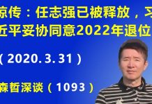 江森哲:任志强真被释放了?习近平妥协同意2022年退位