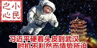 小民之心:习近平硬着头皮到武汉 时机不利然而情势所迫
