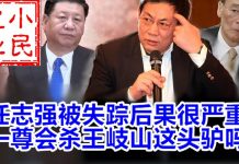 小民之心:任志强被失踪后果很严 一尊会杀王岐山这头驴吗?