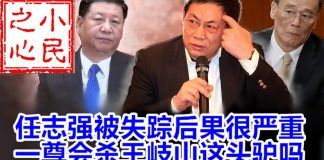 小民之心:任志强被失踪后果很严 一尊会杀王岐山这头驴吗?
