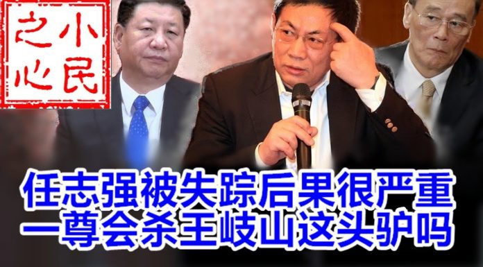 小民之心:任志强被失踪后果很严 一尊会杀王岐山这头驴吗?