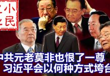 小民之心:中共元老莫非也恨一尊 习近平会以何种方式垮台