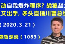 江森哲:北京启动“自我爆炸”程序?战狼赵立坚又出手了,矛头直指川普总统