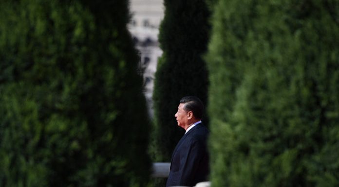 民调:83.4%的网友认为,武疫已酿成世界级灾难,习近平是罪魁祸首