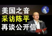 美国之音专访陈平:再谈转发紧急政治局扩大会议公开信内幕
