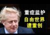 郭宝胜:英国首相急入重症监护室、自由世界遭重创、中共阴谋已显山露水