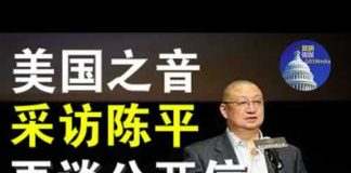 美国之音专访陈平:再谈转发紧急政治局扩大会议公开信内幕