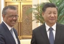 陈小平:美国如何让谭书记下课? 赵立坚带职休假?