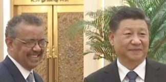 陈小平:美国如何让谭书记下课? 赵立坚带职休假?