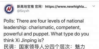 民调:近94%的网友认为习近平是权力型与傀儡型的混合体;还有网友留言称:用魔鬼型和智障型更贴切