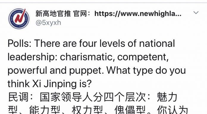 民调:近94%的网友认为习近平是权力型与傀儡型的混合体;还有网友留言称:用魔鬼型和智障型更贴切