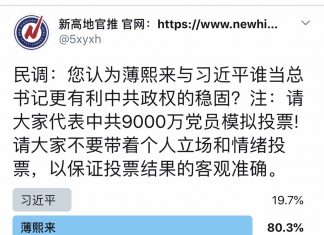 民调:80%网友认为,薄熙来当总书记比习近平更有利于中共政权的稳固