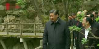 阿里妞妞:秦岭别墅案紧追六年,习近平保护生态与反腐都是选择性