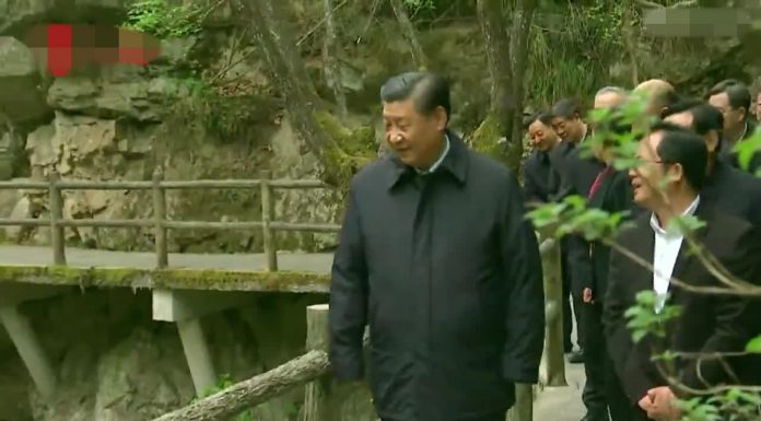 阿里妞妞:秦岭别墅案紧追六年,习近平保护生态与反腐都是选择性