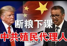 郭宝胜:纳瓦罗怒指谭得赛是中共在联合国的殖民代理人、川普再批WHO驳斥谭得赛在玩弄政治