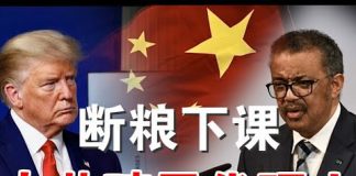 郭宝胜:纳瓦罗怒指谭得赛是中共在联合国的殖民代理人、川普再批WHO驳斥谭得赛在玩弄政治