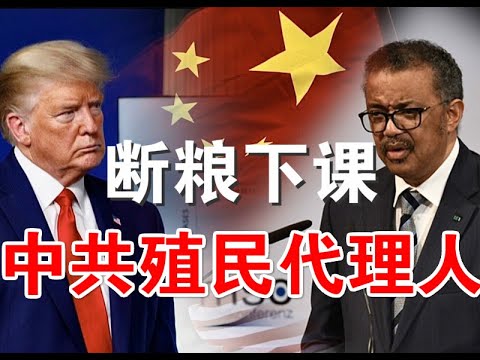 郭宝胜:纳瓦罗怒指谭得赛是中共在联合国的殖民代理人、川普再批WHO驳斥谭得赛在玩弄政治