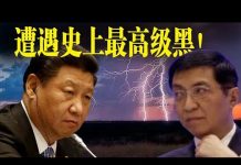 老北京茶馆:习近平遭遇王沪宁史上最高级黑!复工复产达标秘方出炉啦!英法被逼用5G换物资?