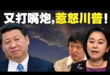 老北京茶馆:胡锡进华春莹给党上眼药!特朗普:怎么惩罚中共我先不说!中共农业部的温情警告!
