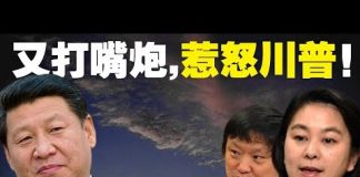 老北京茶馆:胡锡进华春莹给党上眼药!特朗普:怎么惩罚中共我先不说!中共农业部的温情警告!
