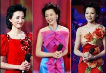 华尔街网报:董卿现在境况如何?孙力军嚣张:不穿警服开党会,习家二将围猎早布下大棋,孟建柱惶恐