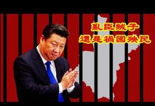 吴建民:庚子年中國風雨飄搖,是孫力軍亂臣賊子還是習近平禍國殃民?