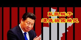 吴建民:庚子年中國風雨飄搖,是孫力軍亂臣賊子還是習近平禍國殃民?
