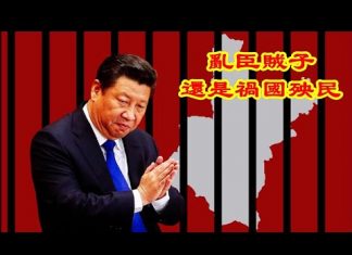 吴建民:庚子年中國風雨飄搖,是孫力軍亂臣賊子還是習近平禍國殃民?