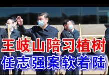 郭宝胜:第八常委王岐山陪习植树显示地位稳固、习四面楚歌不得不让任志强案软着陆?
