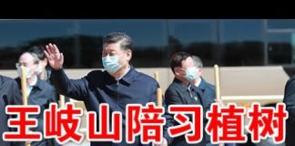 郭宝胜:第八常委王岐山陪习植树显示地位稳固、习四面楚歌不得不让任志强案软着陆?