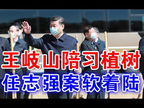 郭宝胜:第八常委王岐山陪习植树显示地位稳固、习四面楚歌不得不让任志强案软着陆?
