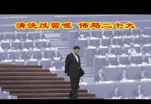 吴建民:習近平爲何急於召開兩會清洗紅二代?20大政治局常委會如何佈局?