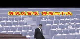 吴建民:習近平爲何急於召開兩會清洗紅二代?20大政治局常委會如何佈局?