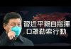 江峰:十九國“零號”都指向一處; 習近平拿十億口罩換法國馬克龍5G華為訂單