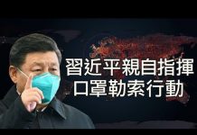 江峰:十九國“零號”都指向一處; 習近平拿十億口罩換法國馬克龍5G華為訂單