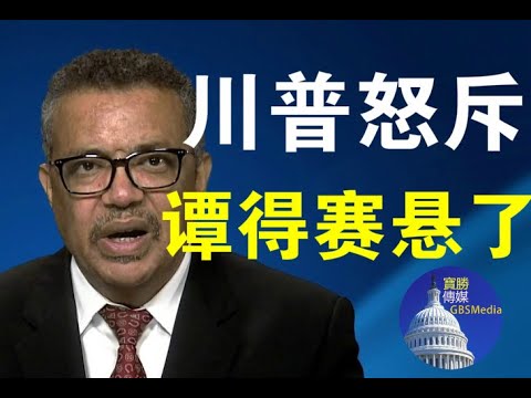 郭宝胜:谭得赛真悬了,川普怒斥WHO;美议员要求谭得赛下台否则断经援!