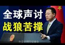 郭宝胜:习近平再开常委会应对外部危机、赵立坚复出死挺WHO、全球声讨下战狼外交还能撑多久?