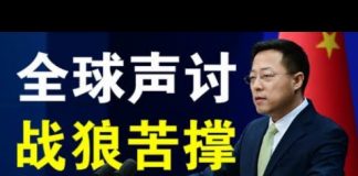 郭宝胜:习近平再开常委会应对外部危机、赵立坚复出死挺WHO、全球声讨下战狼外交还能撑多久?