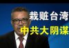 郭宝胜:譚德賽為何公然誣陷臺灣?其實背後是中共一個大陰謀!