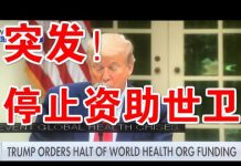 郭宝胜:川普正式宣布停止对WHO的经济资助、西方惩罚中共及其代理人迈出了关键性一步!