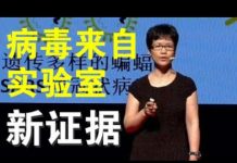 郭宝胜:美国务院电文显示病毒可能来自武汉P4实验室、中共力挺世卫反击川普、章家敦总结WHO四宗罪!