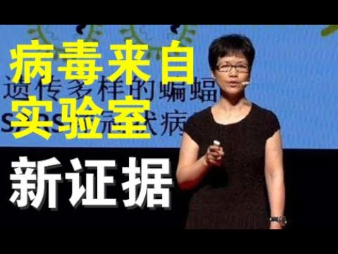 郭宝胜:美国务院电文显示病毒可能来自武汉P4实验室、中共力挺世卫反击川普、章家敦总结WHO四宗罪!
