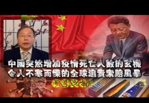 张杰:不寒而栗 正在逼近中国的全球追责索赔风暴