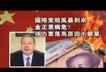 夏业良:国际索赔风暴到来 金正恩病危? 孙力军落马原因不简单