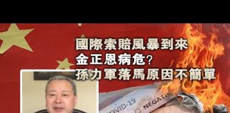夏业良:国际索赔风暴到来 金正恩病危? 孙力军落马原因不简单