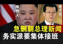 郭宝胜:日媒爆三胖成植物人、新华社急删朝总理新闻、传朝务实派要集体接班